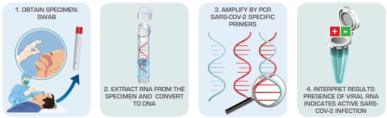 病毒检测（核酸检测）诊断活性SARS-COV-2感染来源：美国微生物学会