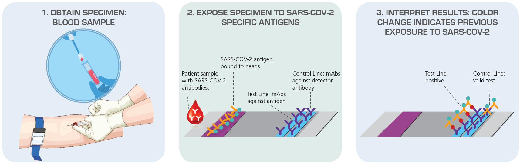 抗体试验（血清学）检测SARS-COV-2曝光的免疫应答源：美国微生物学会